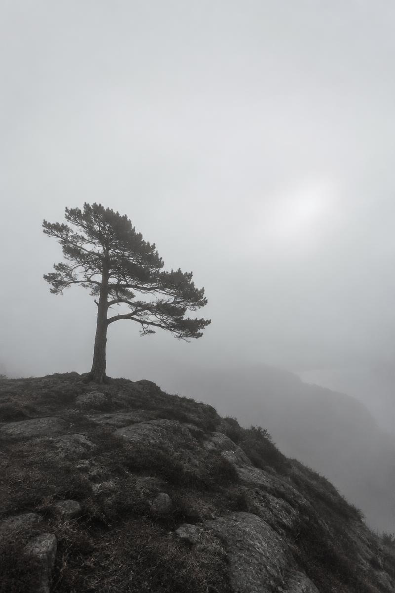 Eternal Return